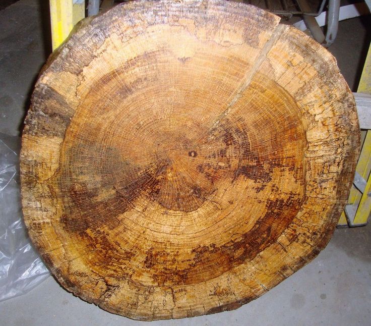 Live Edge Cake Stands Live Edge Cake Stands