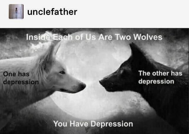 Pin by Meredith Sorensen on Laugh It Up Two wolves, Funny memes, Memes Pin by Meredith Sorensen on Laugh It Up Two wolves, Funny memes, Memes