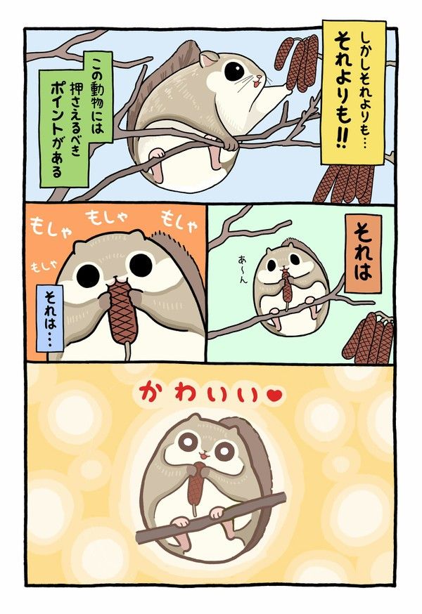 高橋のぞむ おしゃれまとめの人気アイデア Pinterest Ay U 動物 図鑑 珍しい動物 かわいい 動物 イラスト 高橋のぞむ おしゃれまとめの人気アイデア Pinterest Ay U 動物 図鑑 珍しい動物 かわいい 動物 イラスト