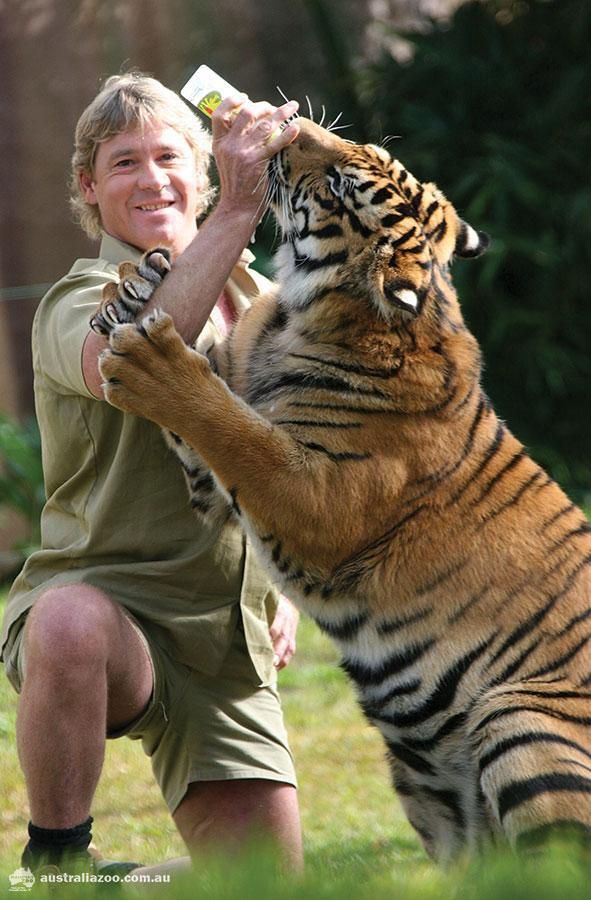 Australia Zoo on Twitter Steve irwin, Crocodile hunter