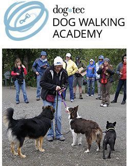 dog walking certification dog walking certification