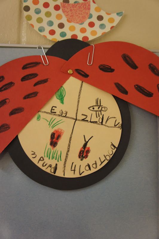 Incect Kids Crafts Incect Kids Crafts