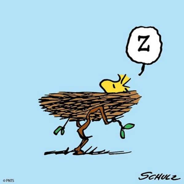 145 best friday images on pinterest peanuts snoopy 145 best friday images on pinterest peanuts snoopy