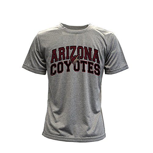 NHL Phoenix Coyotes performance Arch Youth Tee, YXL, Heather Pebble