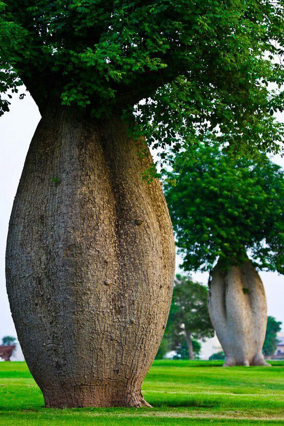 Want huayre peru erotic sculpture park great