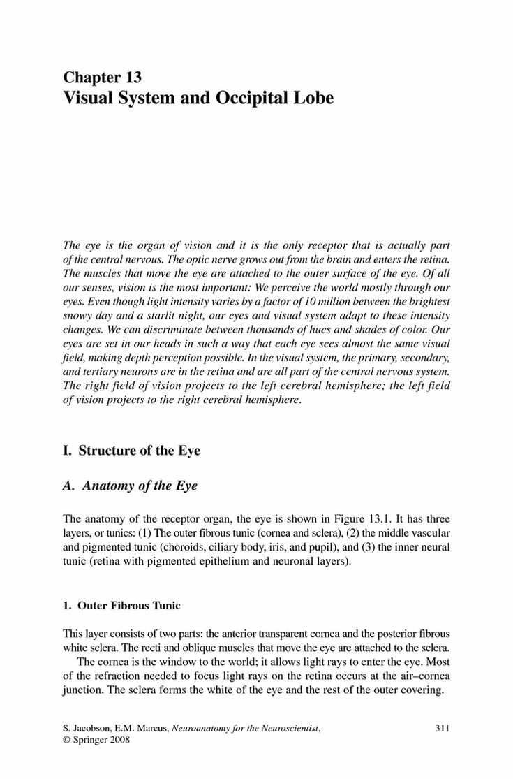 Stem cell research argumentative essay