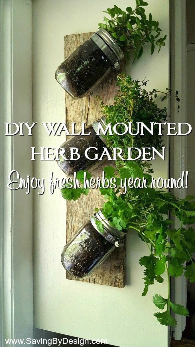 We Treat A Fan To A Total Kitchen Makeover Herb Wall Herb Pots Hanging Herbs
