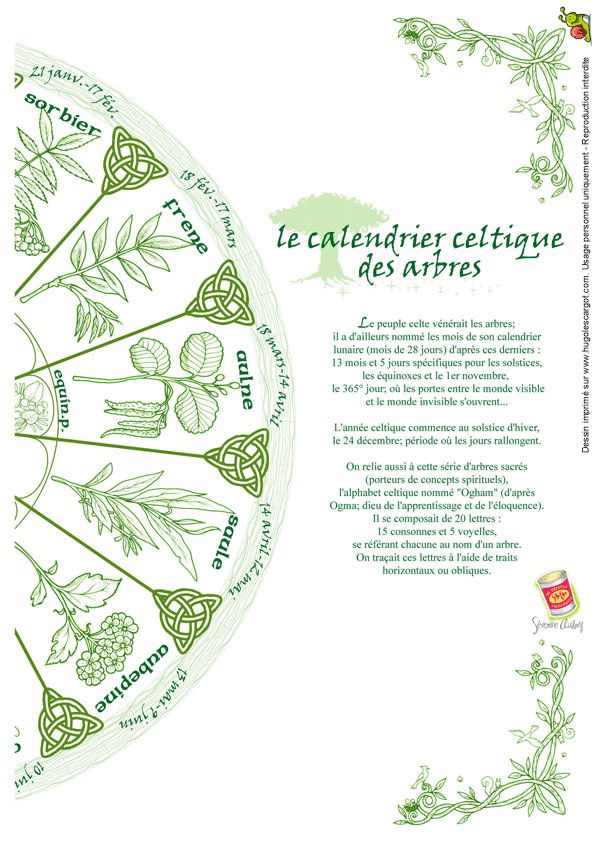Calendrier celte des arbres à imprimer Calendrier celtique, Coloriage