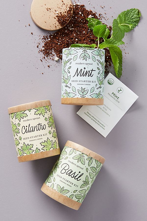 Modern Sprout Seed Starter Kit Seed Starter Kit Seed Starter