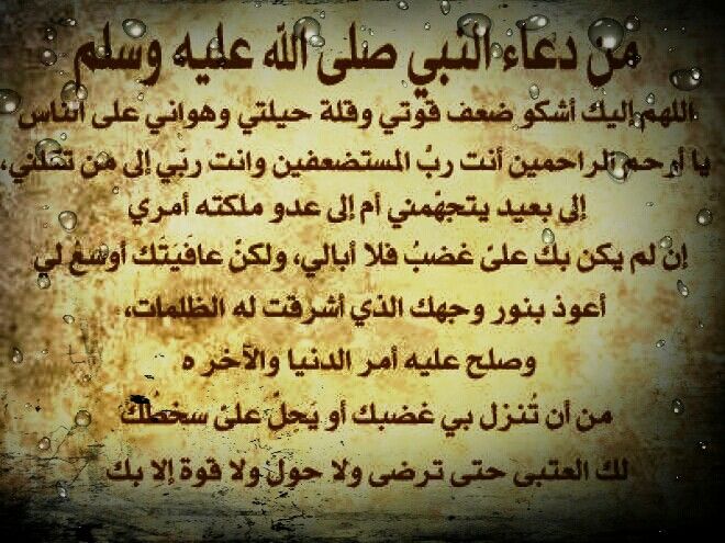 ربي ربي