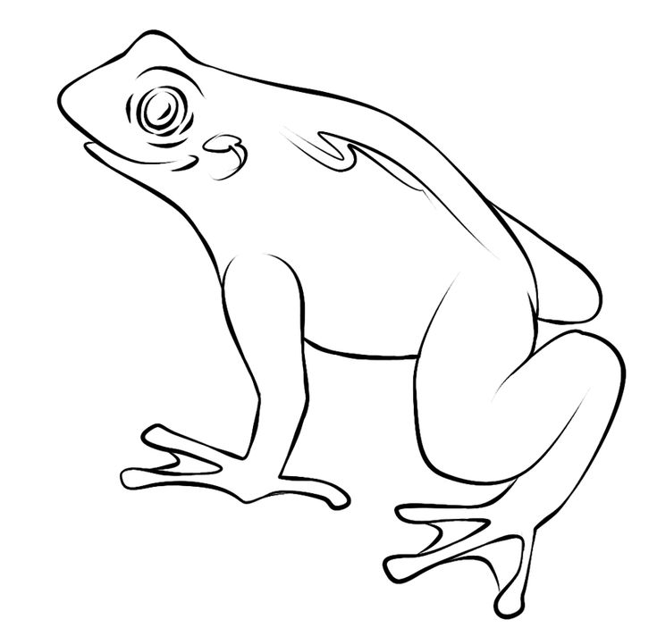 218 best ANIMALS-AMPHIBIANS images on Pinterest Frogs, Amphibians - fresh coloring pages tree frog 218 best ANIMALS-AMPHIBIANS images on Pinterest Frogs, Amphibians - fresh coloring pages tree frog