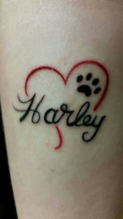 25 gorgeous dog memorial tattoos ideas on pinterest dog tattoos 25 gorgeous dog memorial tattoos ideas on pinterest dog tattoos