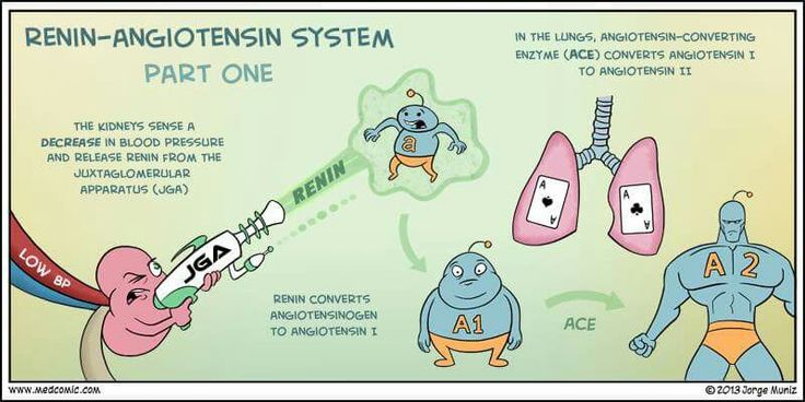 Pin by Miixz Beriiz on Nursing/medic | Nursing school studying
