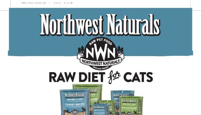 Dog Feed Food Pte Dog Feed Food Pte