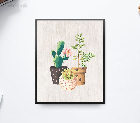 Please check our announcements tab for coupon codes! Cactus and Plant Please check our announcements tab for coupon codes! Cactus and Plant