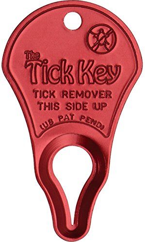 What Is The Best Rated Natural Tick Repellant For People What Is The Best Rated Natural Tick Repellant For People