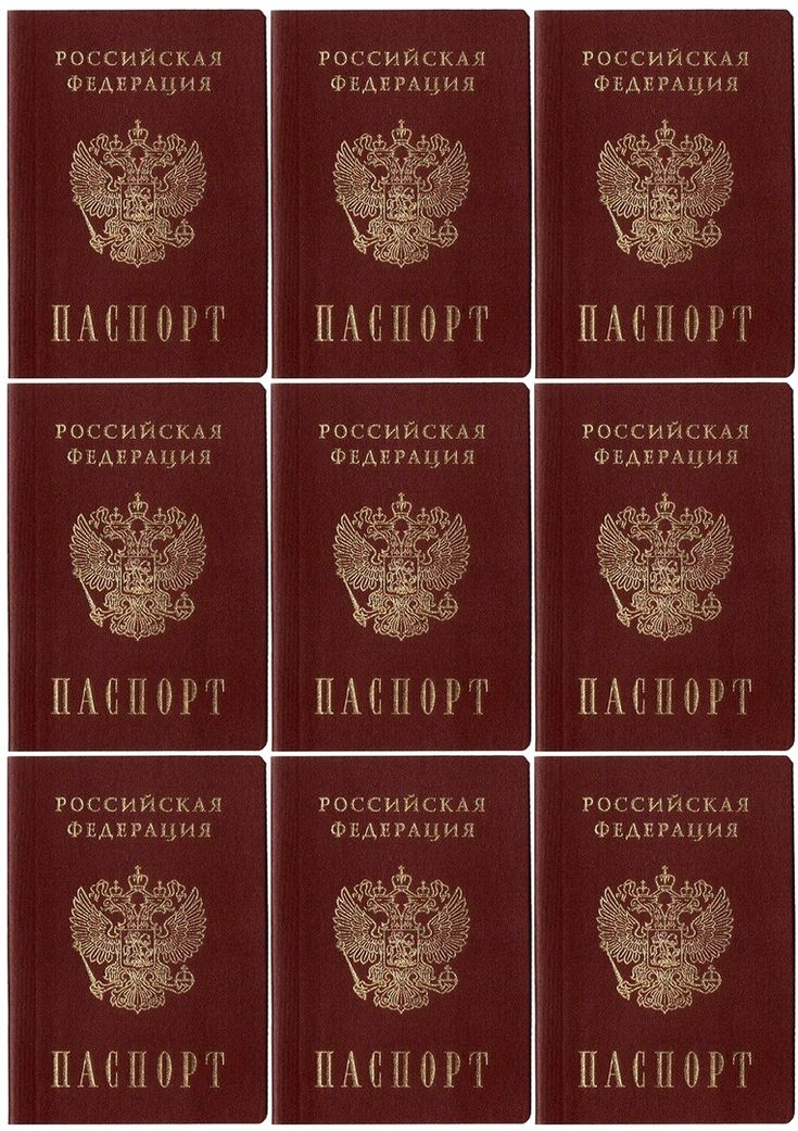 Фото На Паспорт Макет Фото На Паспорт Макет