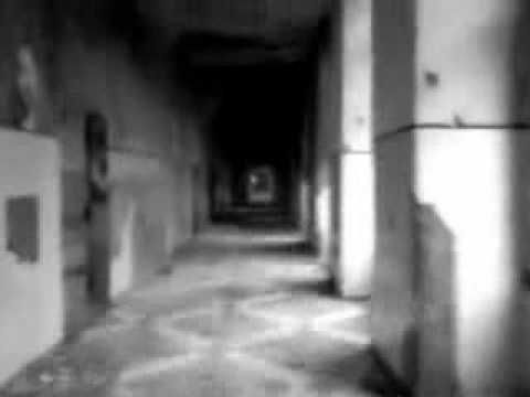 ziva-divis-nude