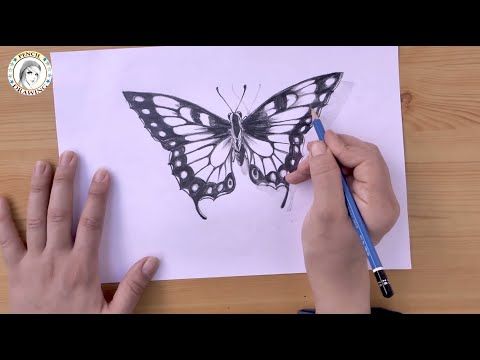 How To Draw A Butterfly In Pencil Step By Step كيف أرسم فراشة بقلم الرصاص خطوة بخطوة Youtu Butterfly Drawing Butterfly Drawing Images Drawing For Beginners