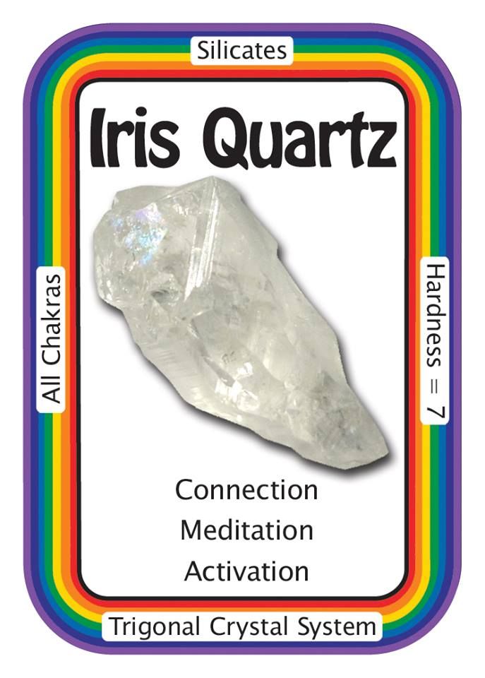 Iris trading system