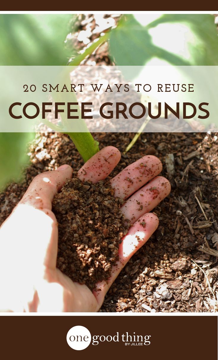 Are Flavored Coffee Grounds Good For Plants Are Flavored Coffee Grounds Good For Plants