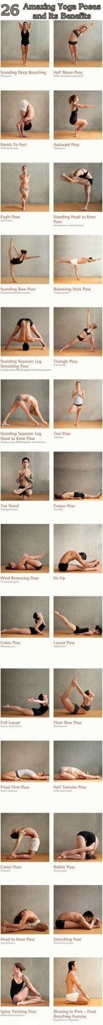 Best brand garcinia cambogia reviews image 10