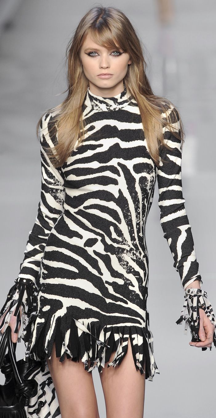 28502 best animal instinct images on pinterest animal elisabetta franchi fashion designer