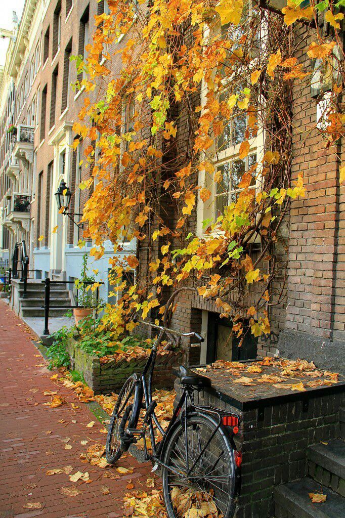 5660 best How Many Miles to the Sandwich ? images on Pinterest - küchengeräte namen bilder 5660 best How Many Miles to the Sandwich ? images on Pinterest - küchengeräte namen bilder