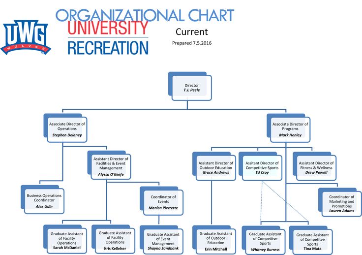 UREC Organizational Chart Event assistant, Organizational chart UREC Organizational Chart Event assistant, Organizational chart