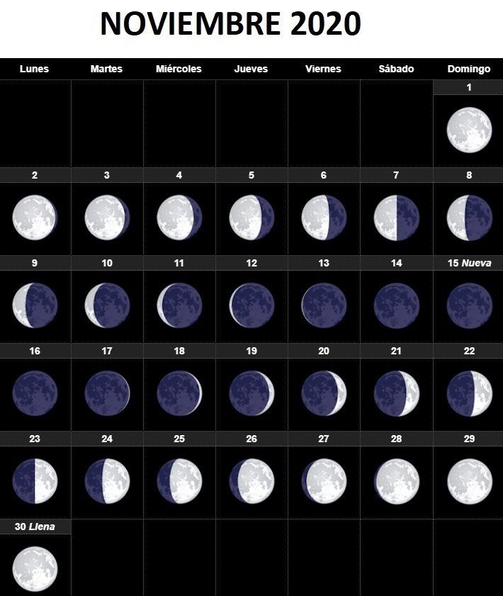 El calendario lunar agosto 2020 para huerto y el jardín