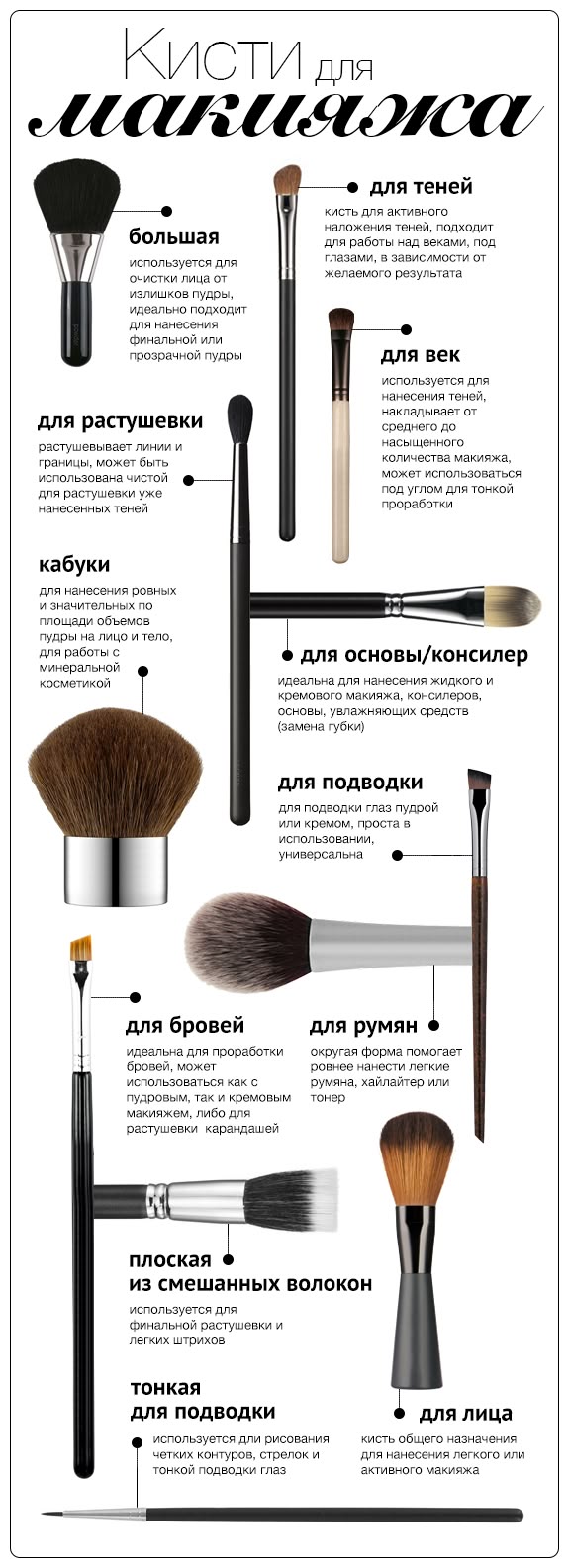 Инфографика: 12 кистей для макияжа - Я Покупаю
