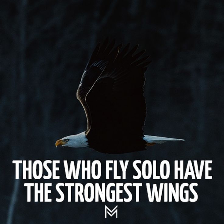 Those Who Fly Solo Have The Strongest Wings Strong Quotes Fly Quotes those-who-fly-solo-have-the-strongest-wings-strong-quotes-fly-quotes