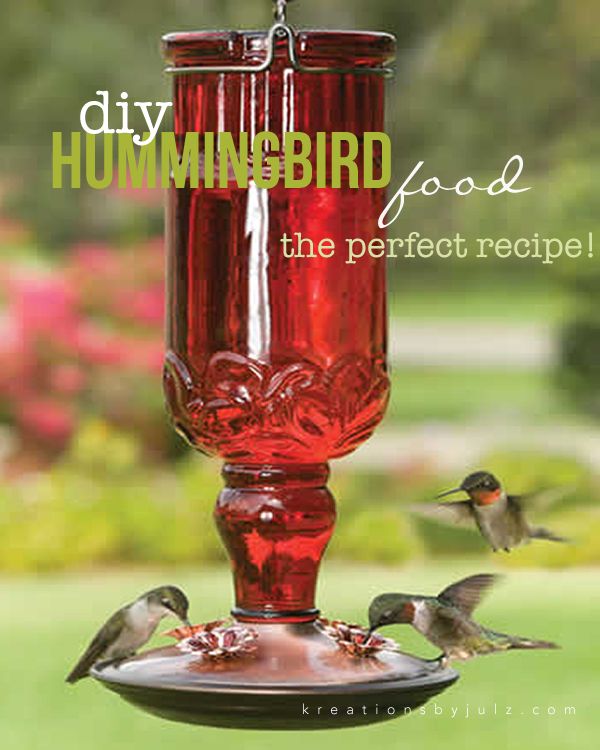 Diy Hummingbird Food Recipe Diy Hummingbird Food Recipe