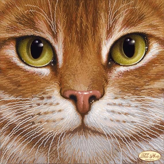 Funny kitten Bead Embroidery kit Needlework Animal Beadwork Hand embroidery Stitching decor Beading pattern Cat Embroidery beads