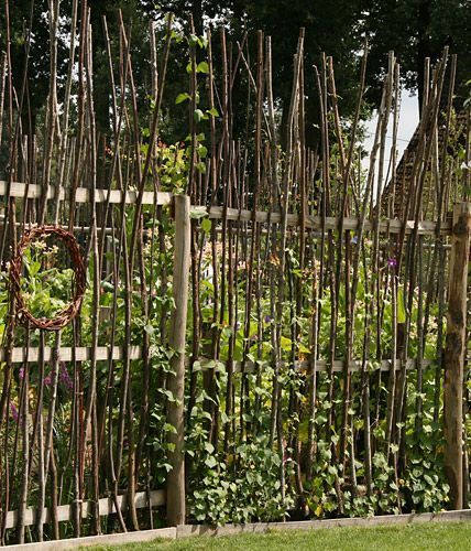 Die besten 25+ Rankgitter Ideen auf Pinterest Rankhilfen - garten pflanzen sichtschutz Die besten 25+ Rankgitter Ideen auf Pinterest Rankhilfen - garten pflanzen sichtschutz