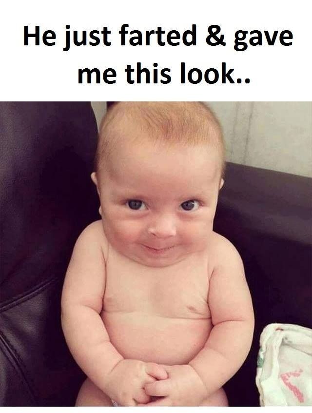 best 20 fart quotes ideas on pinterest funny fart jokes efbe267f5e97f624d4d094f595f79072 funny meme pictures funny memes best 20 fart quotes ideas on pinterest funny fart jokes,I Know U Looking Funny Memes