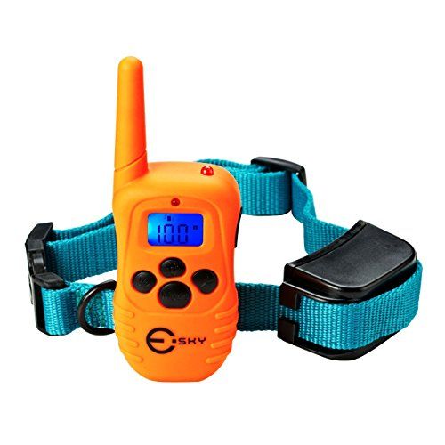 What Is A Good Dog Training Shock Collar Cheap What Is A Good Dog Training Shock Collar Cheap
