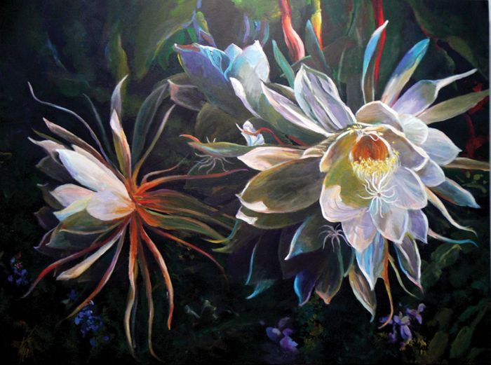 11 best Hoa Quỳnh - Epiphyllum images on Pinterest | Daisy, Flower ... 11 best Hoa Quỳnh - Epiphyllum images on Pinterest | Daisy, Flower ...