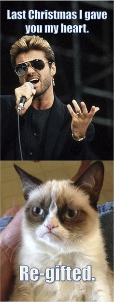 top 25 best cat memes clean ideas on pinterest funny kittens effd92c84615b242842c610dd3edaf21 grumpy cat quotes grumpy cat meme top 25 best cat memes clean ideas on pinterest funny kittens,Funny Clean Grumpy Cat Memes