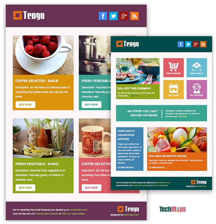 Best 25+ Free html email templates ideas on Pinterest Free email - free email newsletter templates word Best 25+ Free html email templates ideas on Pinterest Free email - free email newsletter templates word