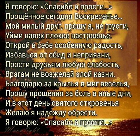 Картинка спасибо что простила, днем учителя надписью