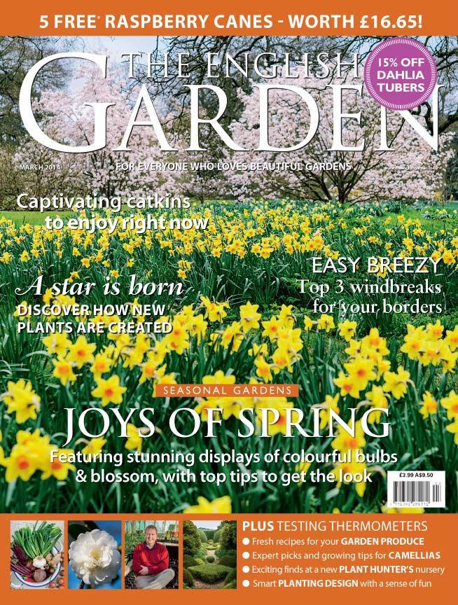 New Garden Ideas 2014 45 best the english garden images on pinterest | english gardens New Garden Ideas 2014 45 best the english garden images on pinterest | english gardens