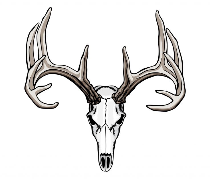 the 25 best deer antler tattoos ideas on pinterest antler the 25 best deer antler tattoos ideas on pinterest antler