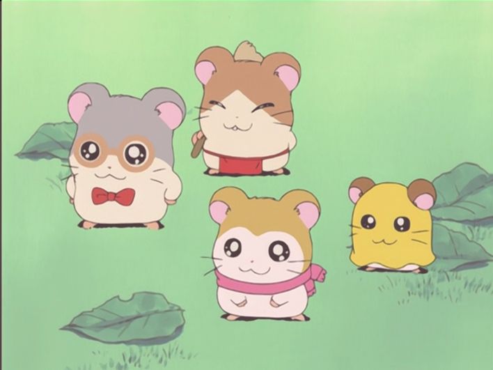 Pin By Ashley Stokes On Things I Like In 22 Hamtaro Character Disney Characters Pin By Ashley Stokes On Things I Like In 22 Hamtaro Character Disney Characters