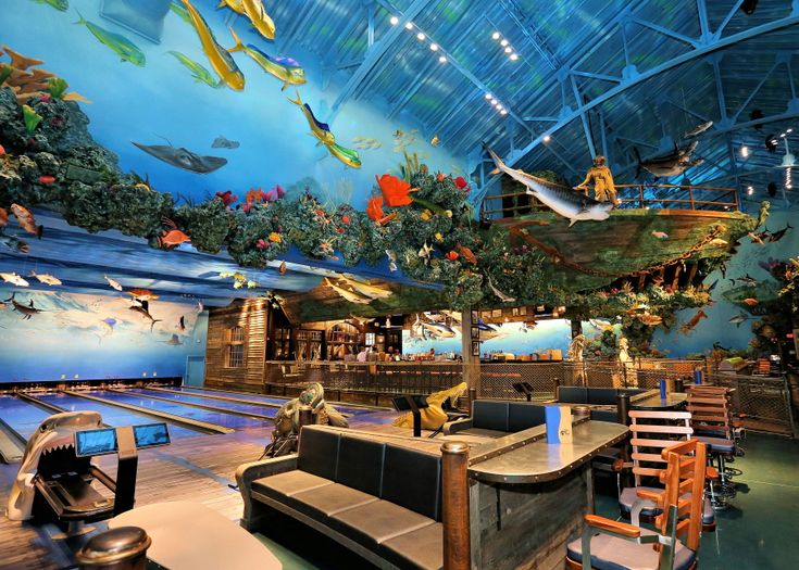 Best Themed Restaurants for an Epic Night on the Town | Underwater