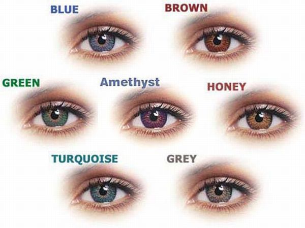 contact lenses color contact