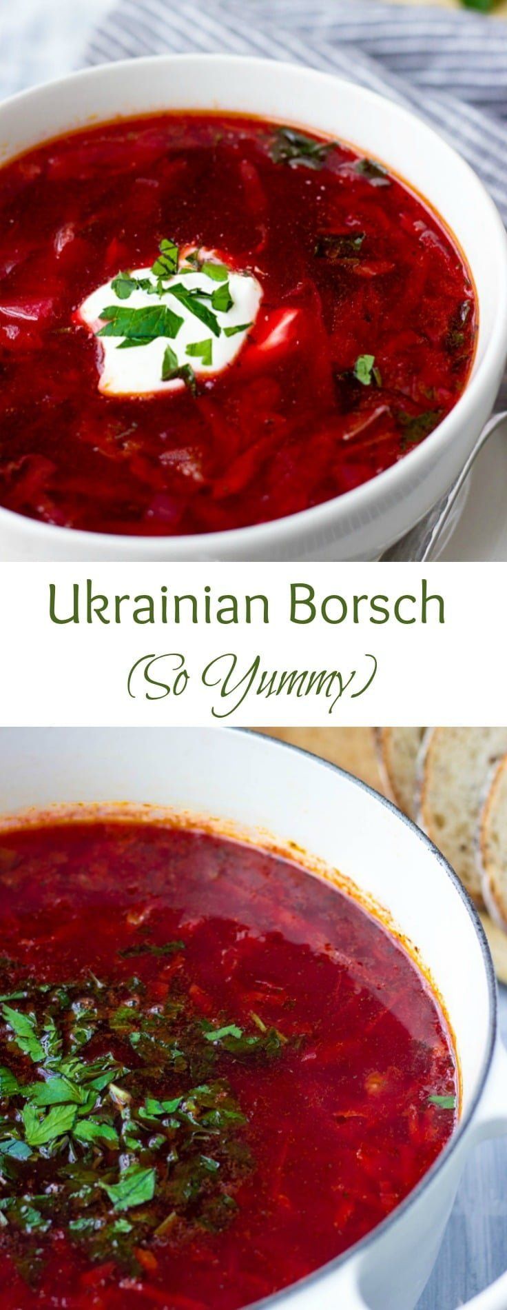 Dressing for soup and borsch for the winter 31 Dressing for soup and borsch for the winter 95