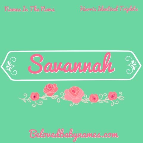 Savannah nicknames