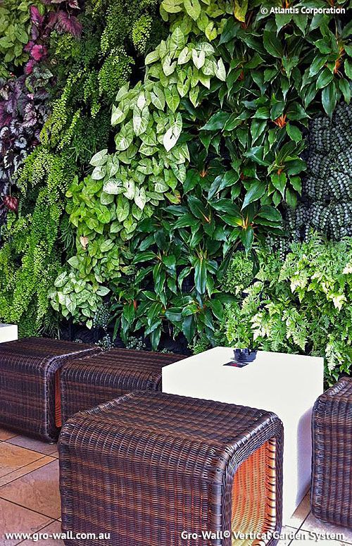 Vertical Garden Ideas Australia 398 best vertical garden images on pinterest | vertical gardens Vertical Garden Ideas Australia 398 best vertical garden images on pinterest | vertical gardens