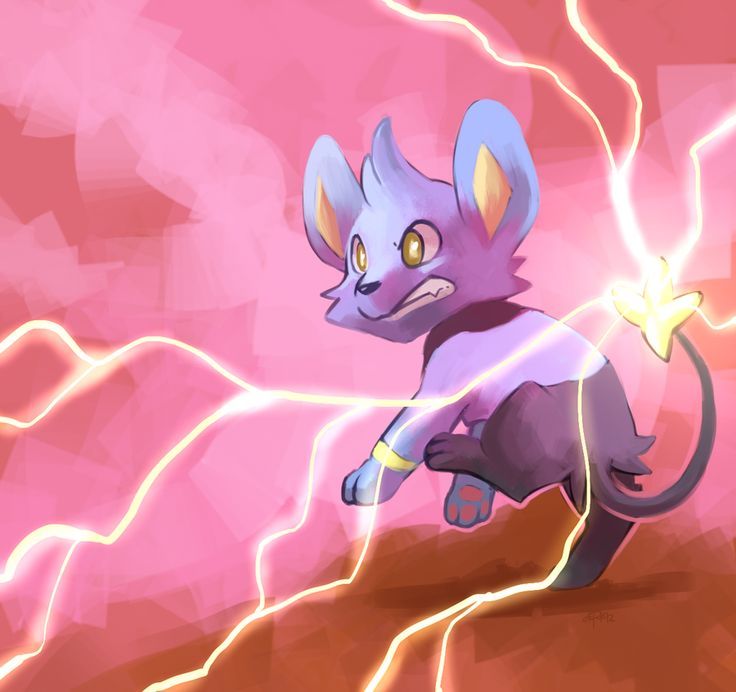 Shinx Wallpaper